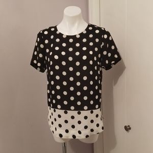 Sheer Polka Dot Black and White Blouse